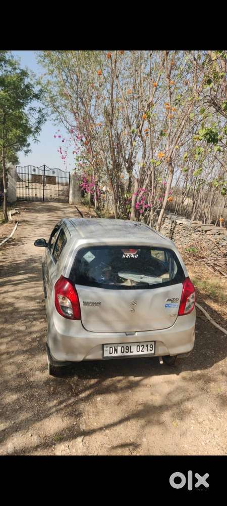 Alto 800 Company Cng