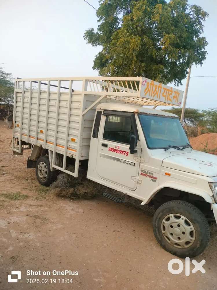 Dilana Lohavat Phalodi