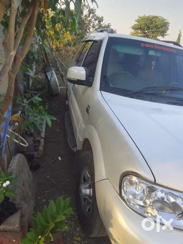 Tata Safari Decor