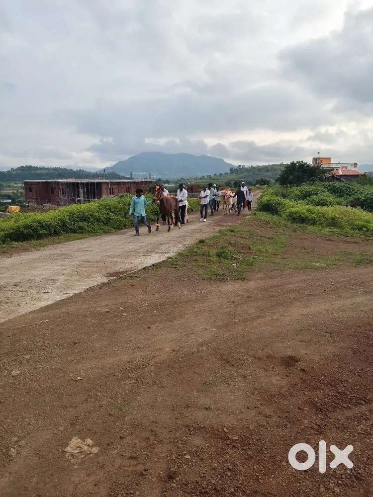 Plot near Wasuli MIDC At post kurkundi - Lands & Plots - 1821221500