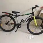 Cycle 22 size