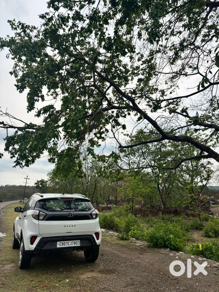 Used Tata Petrol 2022 Car