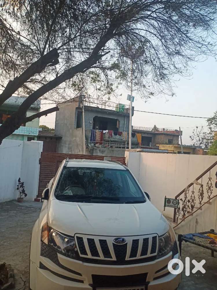 Xuv500w8 Bijnor Namber