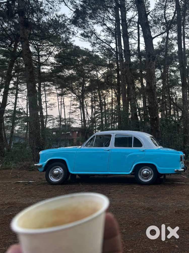 Ambassador Ambassador