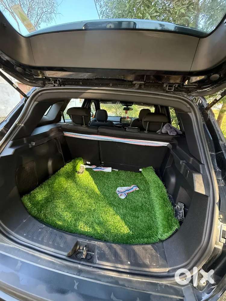 Tata Harrier 2024 Diesel 14769 Km Driven