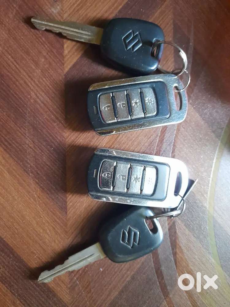 Alto Cng 2019