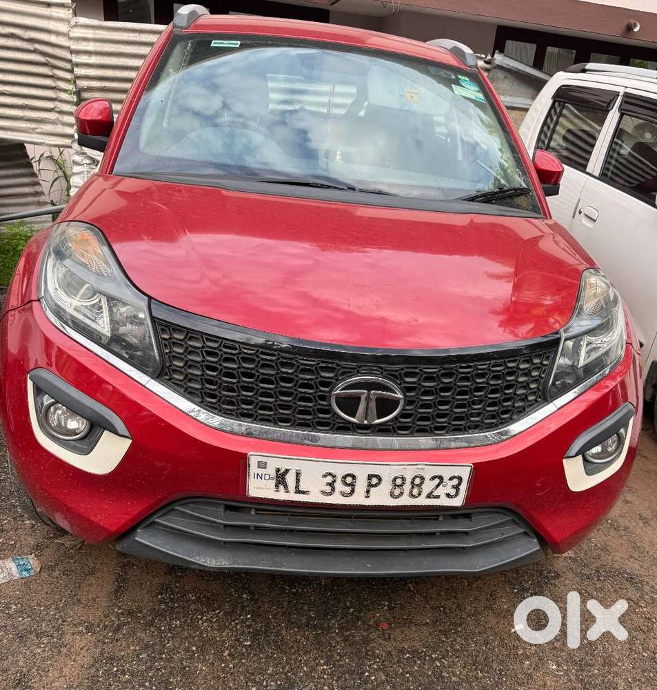 2019 Model Nexon