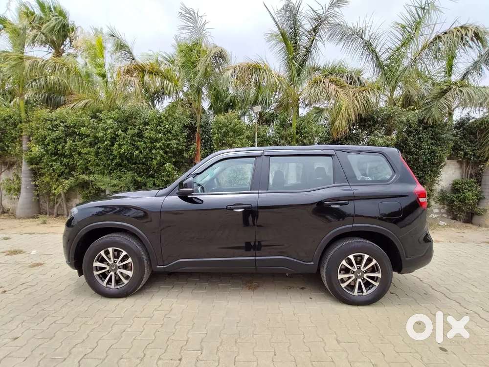 Brand New Car