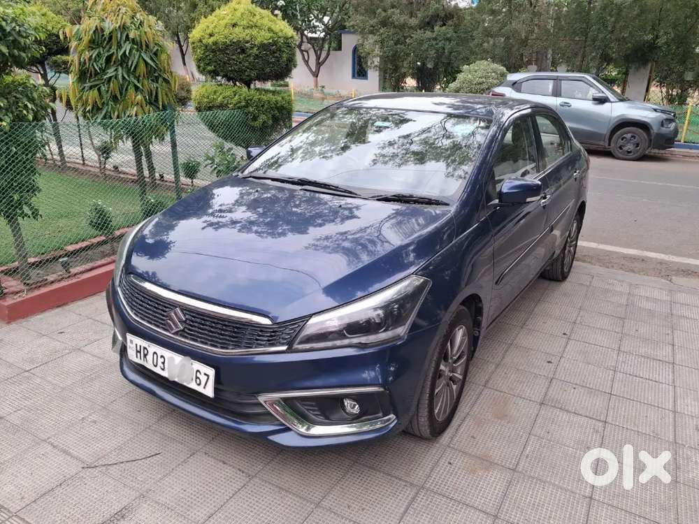 Well Maintained Single Owner Ciaz Alpha Maruti Suzuki