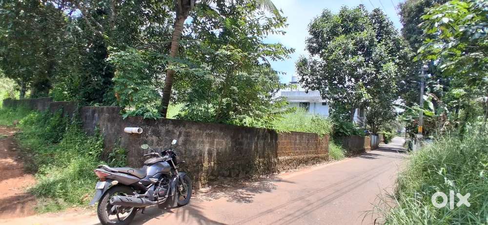 Pallikkara near infopark payamthotam 15 cent land for sale