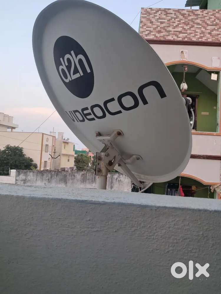 Tv Antenna