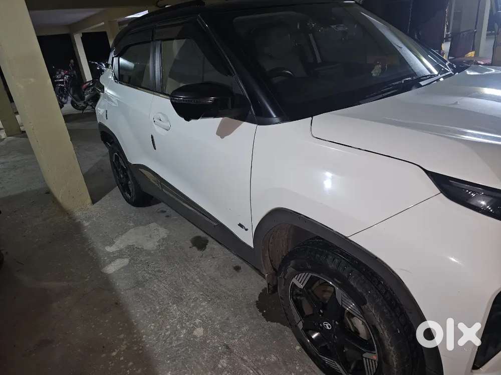 Tata Punch Ev 2024