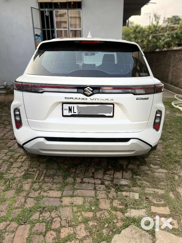 Maruti Suzuki Grand Vitara 2024 Petrol Well Maintained