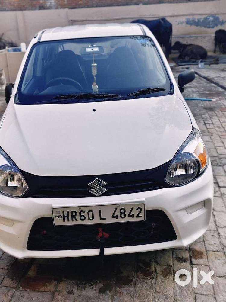 Maruti Suzuki Alto 800 2022 Petrol Well Maintained