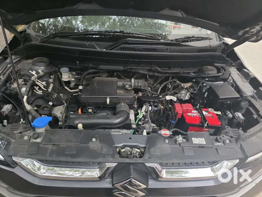 Maruti Suzuki Brezza 2024 Cng & Hybrids 20000 Km Driven