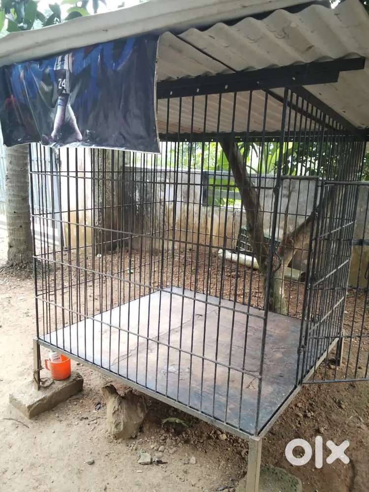 Pet home with good condition setup with reasonable price