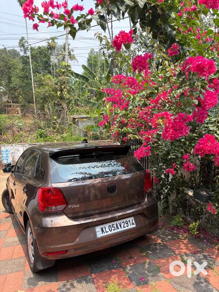 Volkswagen Polo 2019 Petrol 36000 Km Driven