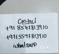 Test Completed 2004 Model Suzuki Alto Lx (mpfi). Valid Upto 2029.