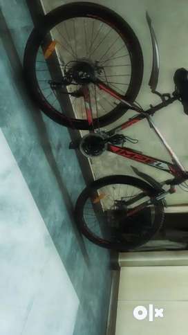 Kross best sale impel momentum