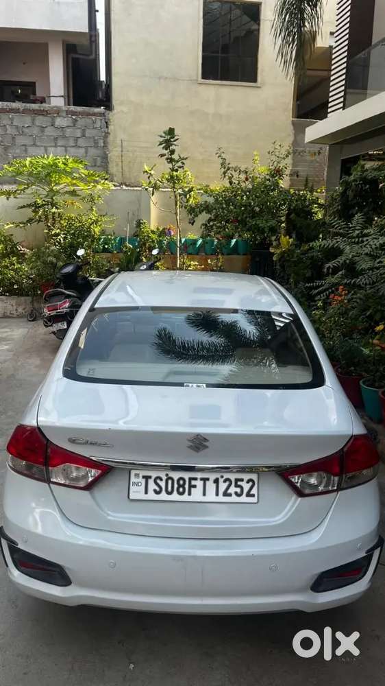 Ciaz Maruti