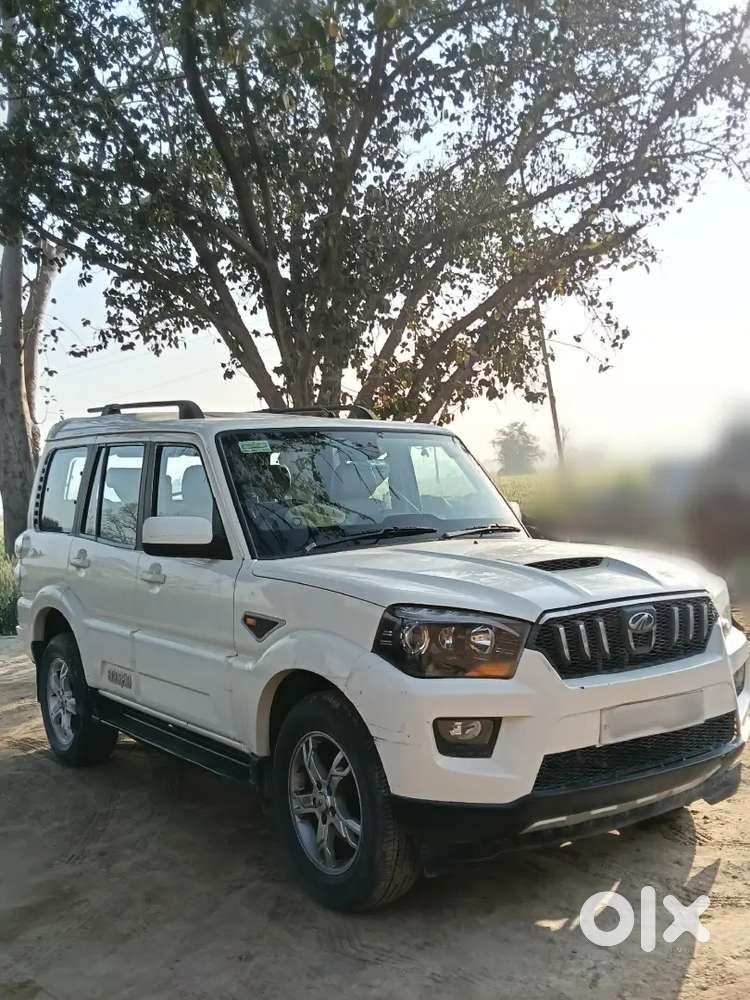Scorpio S10 Automatic
