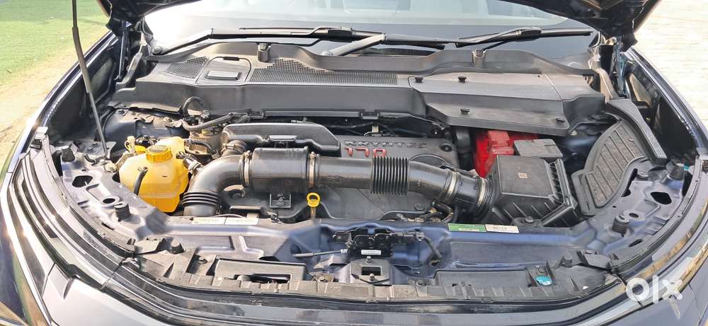 Tata Safari Accomplished Dual Tone At, 2024, Diesel