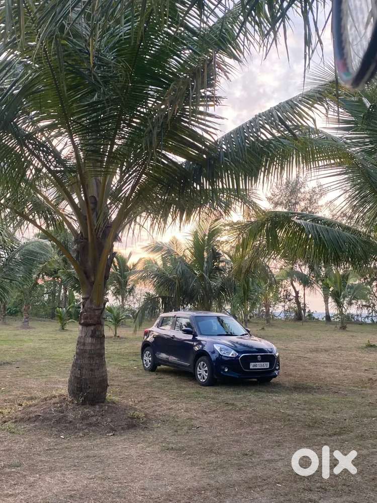 Scratceas Swift Want To Sale