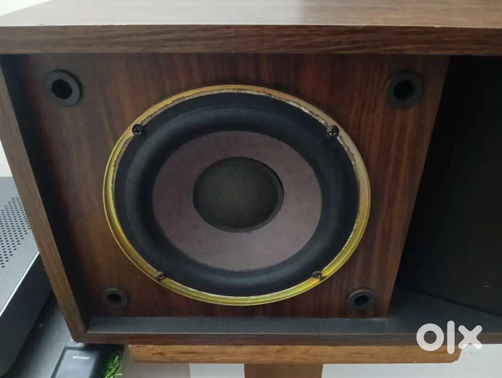 ACIDMAN　BOSE 201 Audio/Video Monitor BOSE ボーズ 201 AUDIO VIDEO MONITOR