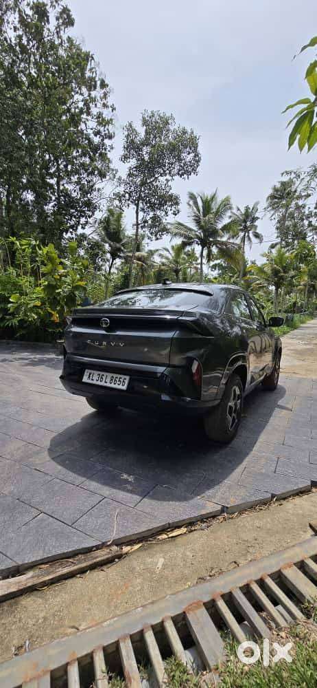 Tata Curvv 2025