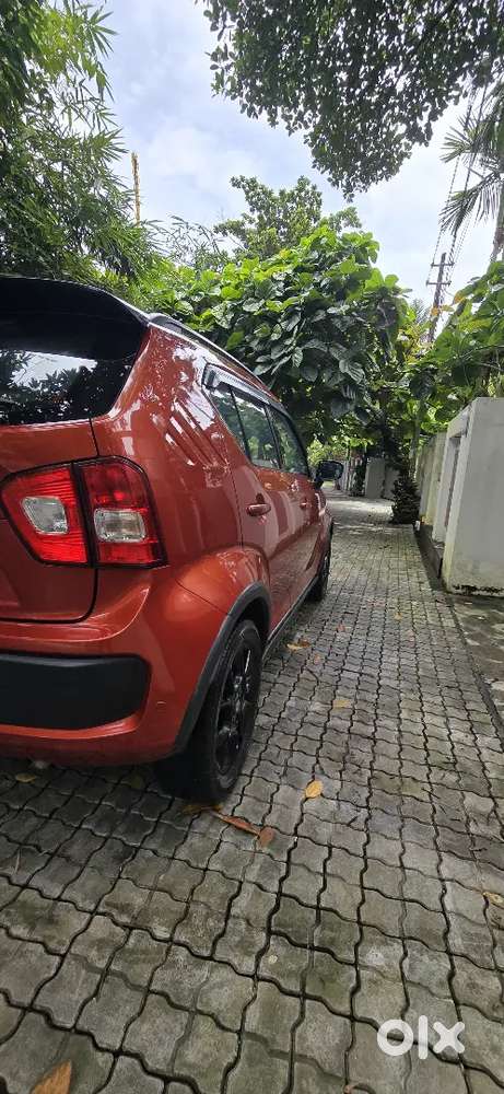 Maruti Suzuki Ignis 2019 Petrol Automatic