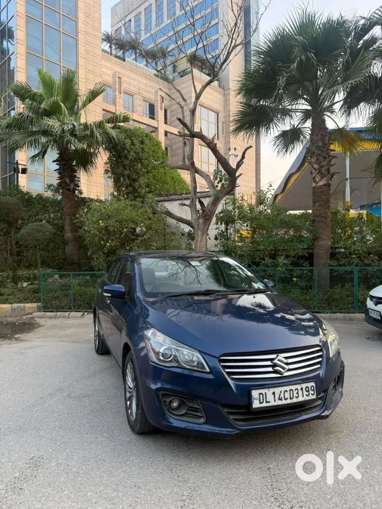 Ciaz Alpha Top Model