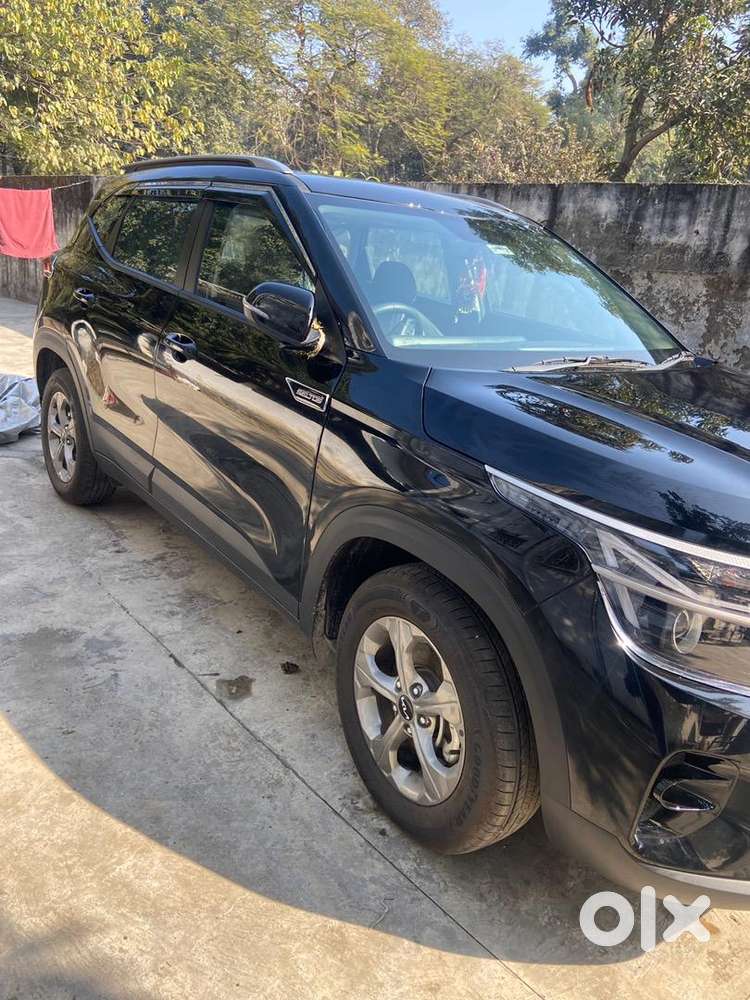 Kia Seltos 2024 Petrol Well Maintained