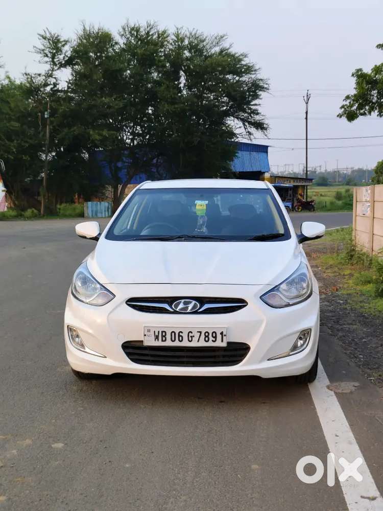 Verna Fludic 2011