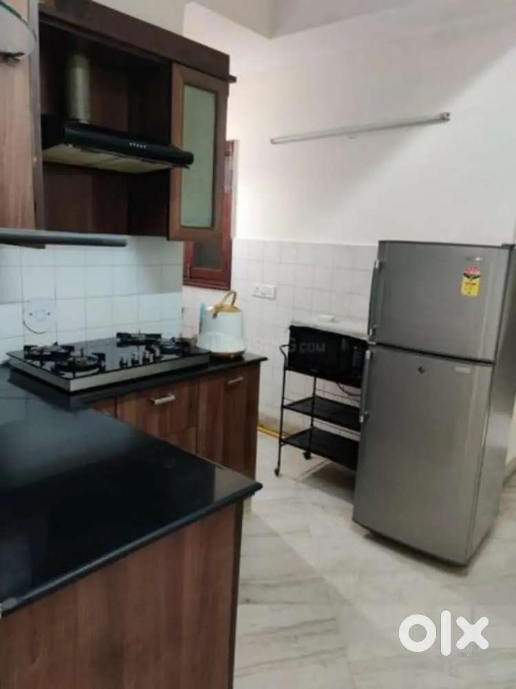 3 bhk beautiful fully furnished flat