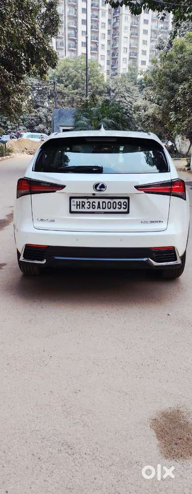 Lexus Nx Lexus-nx-300h-luxury, 2018, Petrol