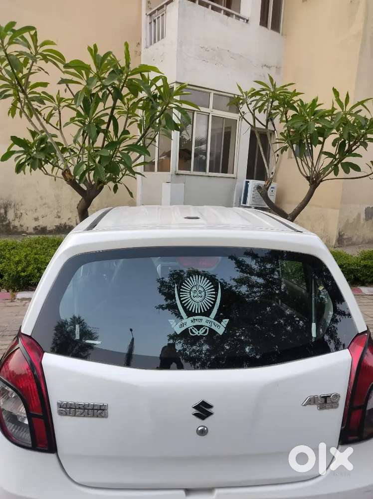 Alto 800 Scratchless For Sale