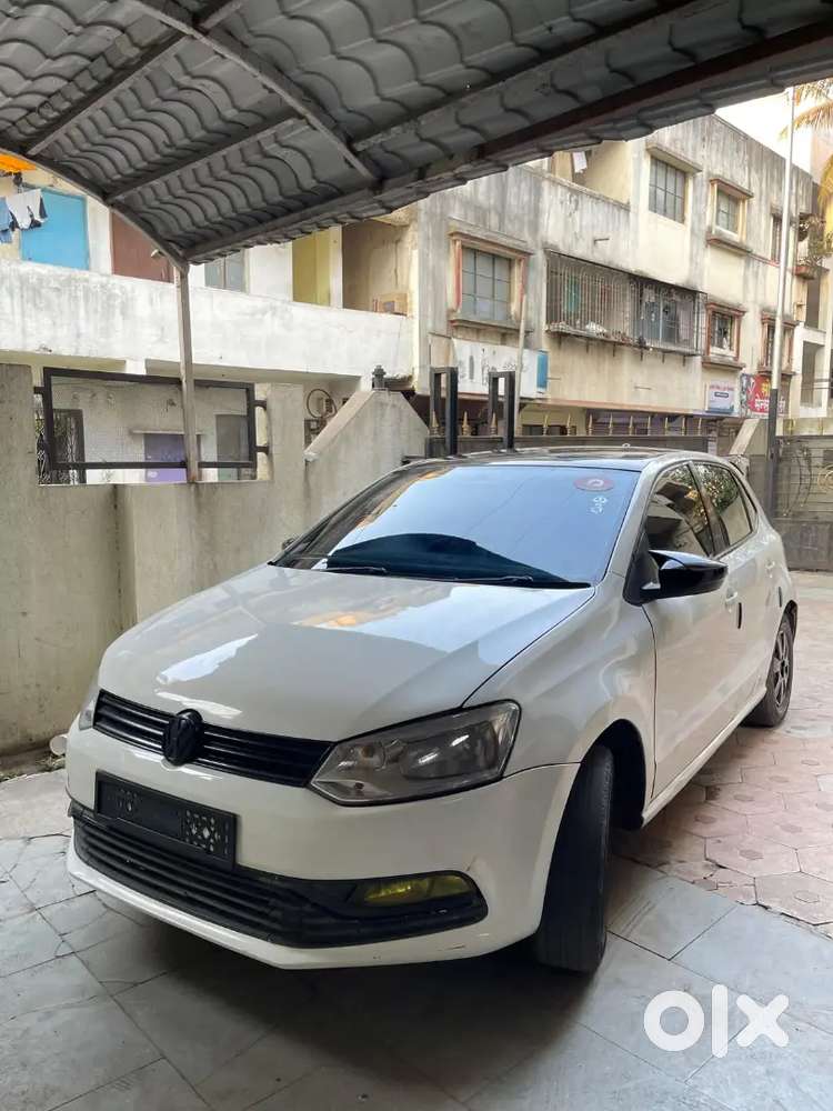 Polo For Sell