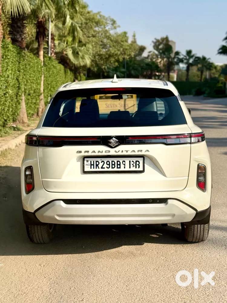 Maruti Suzuki Grand Vitara 1.5 Delta Cng, 2024, Cng & Hybrids