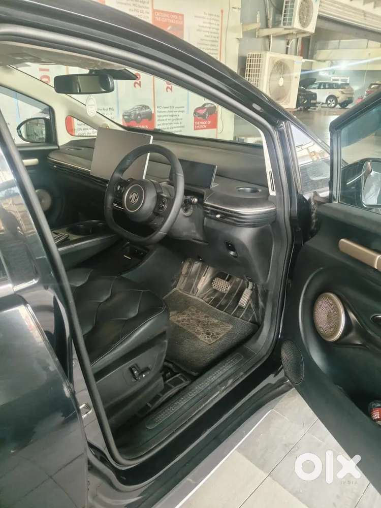 Mg Windsor Ev 2025 Electric Well Maintained