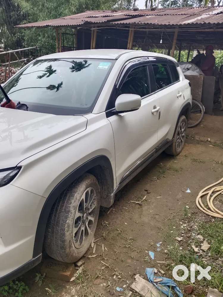 Maruti Suzuki Grand Vitara 2025 Petrol 15800 Km Driven