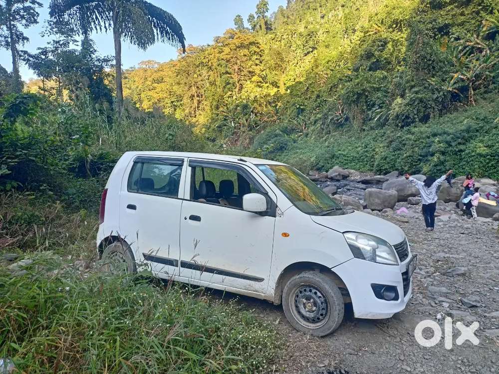 Maruti Suzuki Wagon R Flex Fuel 2019