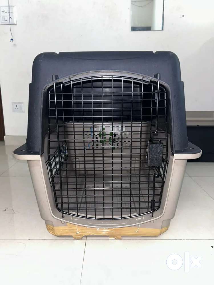 Ace hardware outlet dog crates