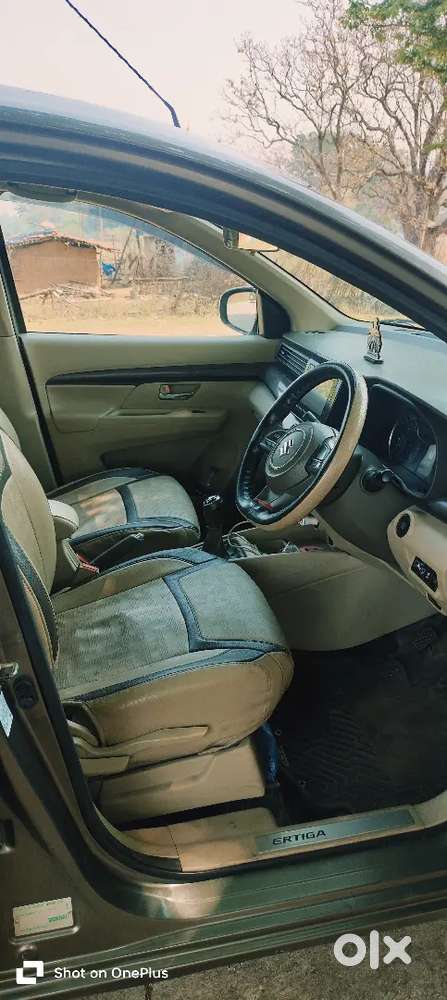 Zxi Plus Cng Petrol