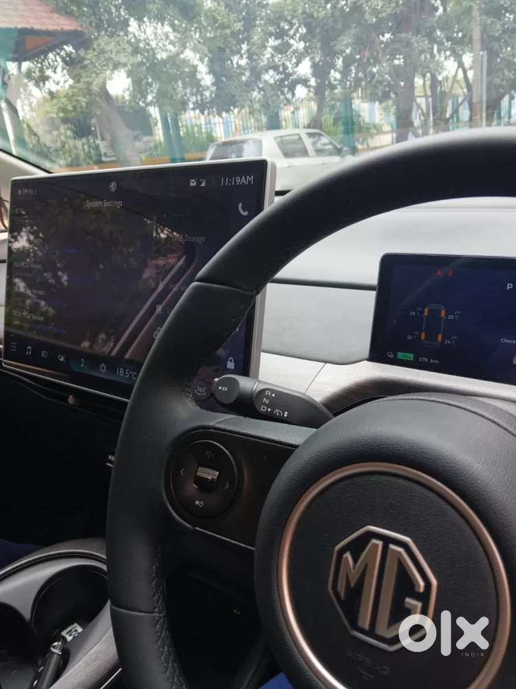 Mg Windsor Ev Exclusive, 2024, Electric