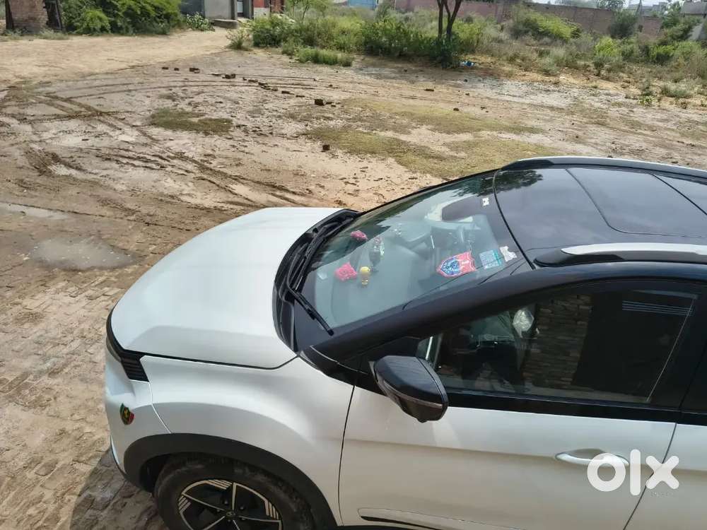 Tata Nexon 2024 Petrol Well Maintained