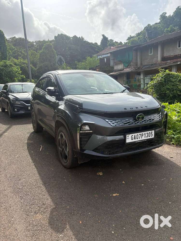 Tata Curvv 2024 Year Car
