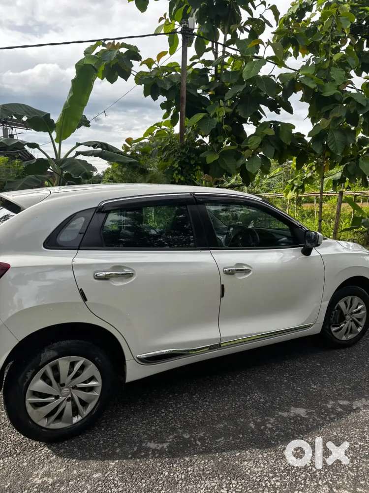 Baleno Delta P