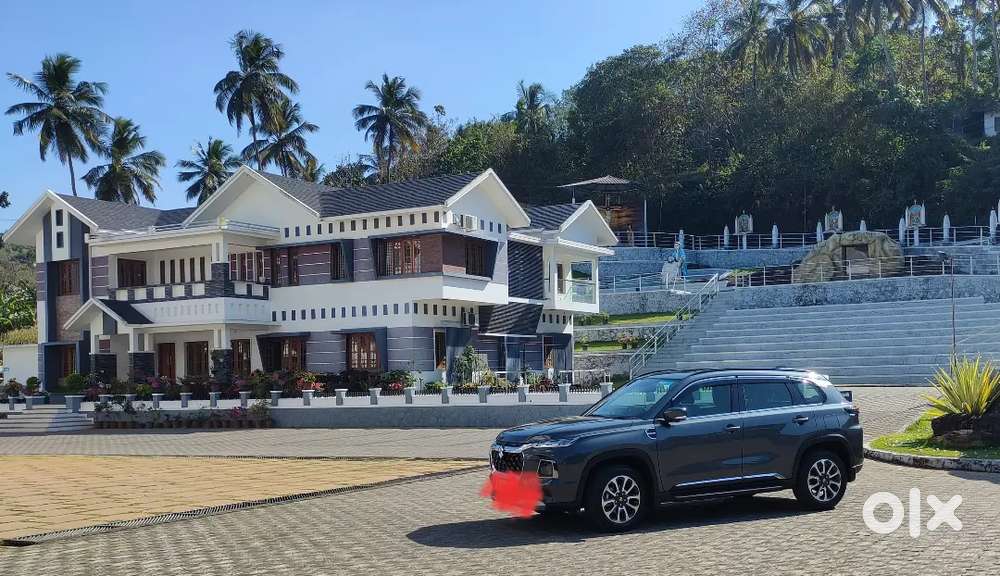 Maruti Suzuki Grand Vitara 2024 Petrol 24000 Km Driven