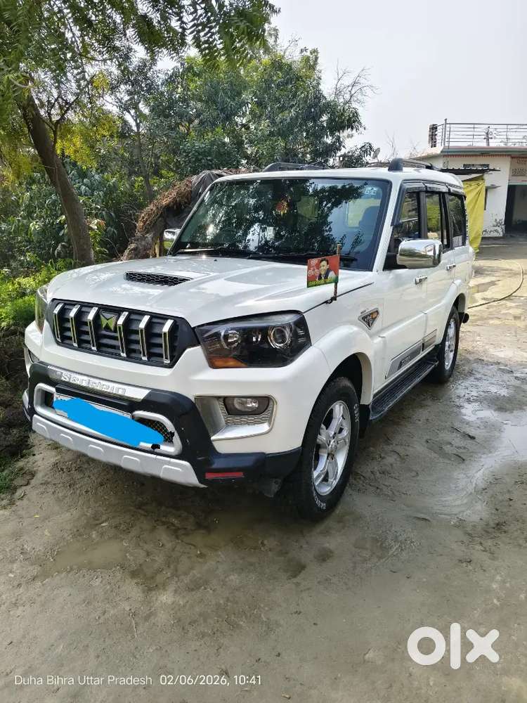 Arjent Hai