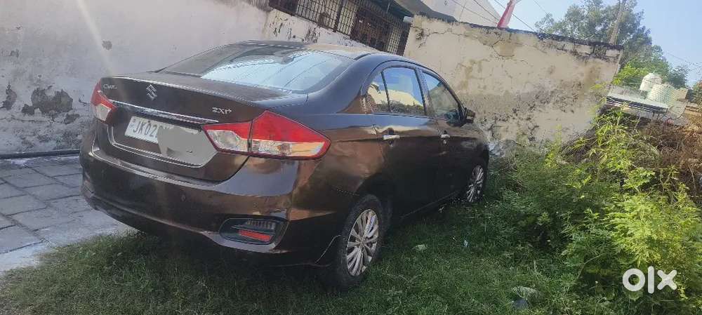 Maruti Suzuki Ciaz 2015 And Xuv 500